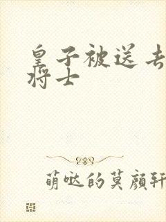 皇子被送去犒劳将士