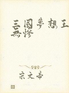 三国梦想王元姬无惨