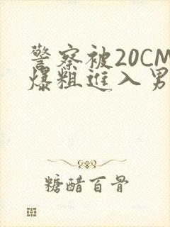警察被20CM爆粗进入男男软件