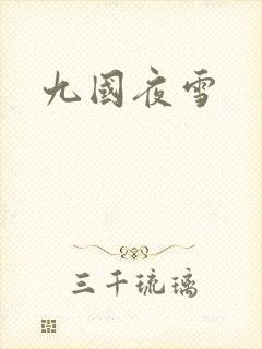 九国夜雪