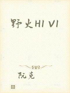 野火H1 V1
