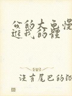 公的大龟慢慢挺进我的体