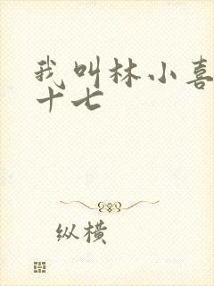我叫林小喜今年十七