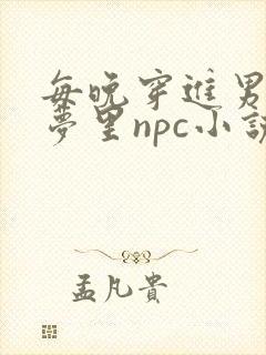 每晚穿进男神的梦里npc小说