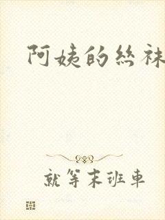 阿姨的丝袜小说