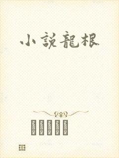 小说龙根