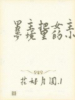 男主把女主拖进梦境里的小说