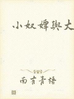 小奴婢与大少爷封面