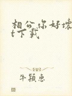 相公你好坏txt下载