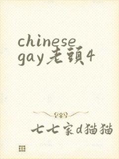 chinesegay老头4封面