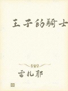 王子的骑士