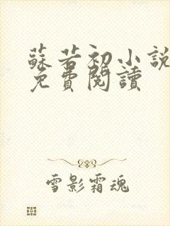 苏若初小说全文免费阅读