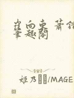 崔向东 萧错 笔趣阁