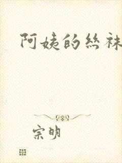 阿姨的丝袜小说