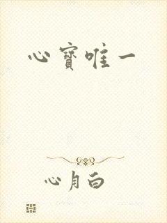 心宝唯一