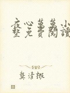 夜心万万小说完整免费阅读全文