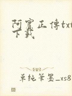 阿宾正传txt下载