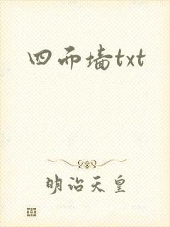 四面墙txt