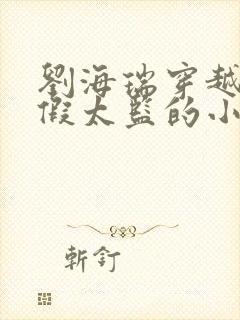 刘海瑞穿越后宫假太监的小说