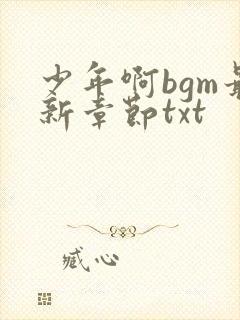 少年啊bgm最新章节txt