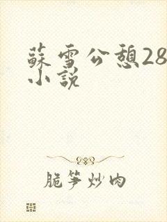 苏雪公憩28篇小说