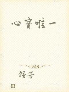 心宝唯一