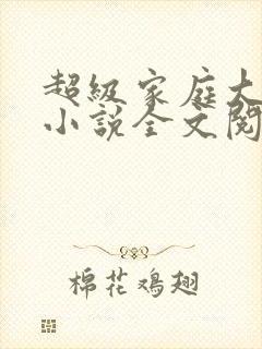 超级家庭大杂烩小说全文阅读