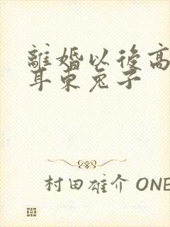 离婚以后高干 耳东兔子