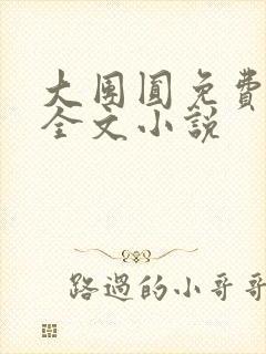 大团圆免费阅读全文小说