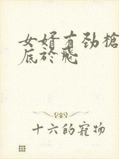 女婿有劲枪枪到底于飞