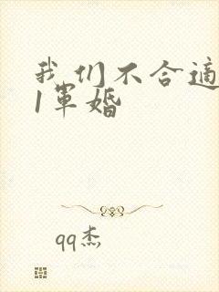 我们不合适1v1军婚