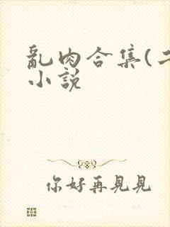 乱肉合集(二)小说