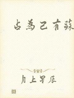 占为己有苏静初