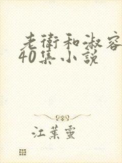 老卫和淑容1-40集小说