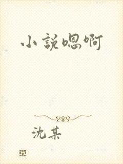 小说嗯啊