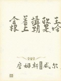 含着摄政王的紫根上朝是啥小说