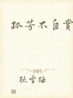 孤芳不自赏小说