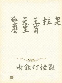 擎天玉柱是指什么生肖