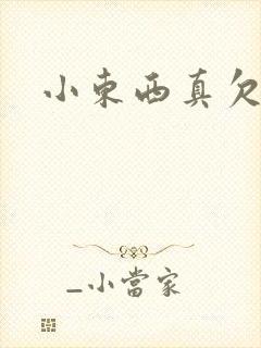 小东西真欠弄
