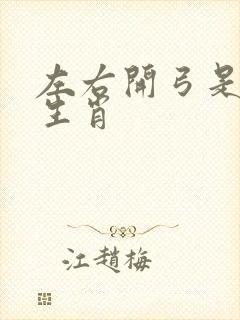 左右开弓是什么生肖