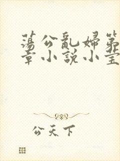 荡公乱妇第51章小说小莹