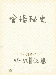 官场秘史