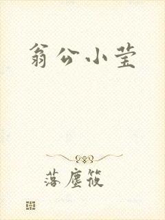 翁公小莹