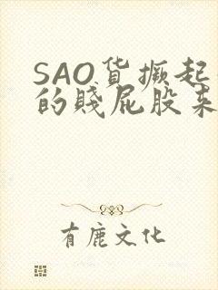 SAO货撅起你的贱屁股来