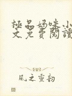 极品妈咪小说全文免费阅读