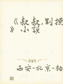 《叔叔,别撩我》小说