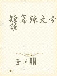 短篇辣文合集小说