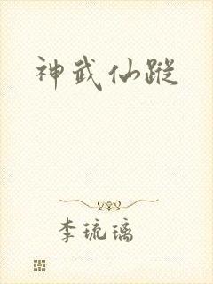 《神武仙踪》小说封面