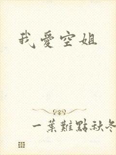 我爱空姐