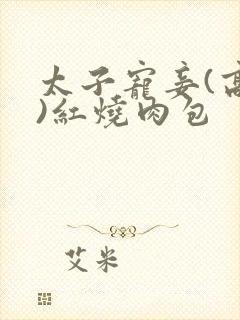 太子宠妾(高肉)红烧肉包